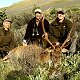 Hunting in the Kaikoura area
