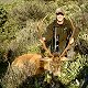 Hunting in the Kaikoura area

