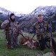 Hunting in the Kaikoura area
