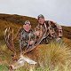 Red stag
