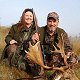 Fallow buck
