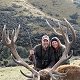 Red stag
