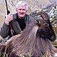 Himalayan Bull Tahr

