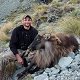 Himalayan Bull Tahr
