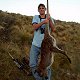 Wallabee

