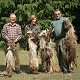 4 tahr
