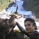 Chamois
