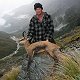 Chamois
