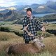 Red Stag

