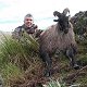 Himalayan bull tahr
