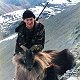 Himalayan Bull Tahr

