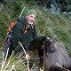 Himalayan Bull Tahr
