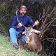 Red Stag
