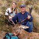 Red Stag
