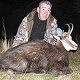 Chamois
