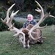 Red Stag
