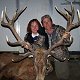 Red Stag
