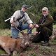 Red Stag
