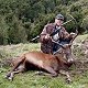 Red Stag
