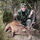 Red Stag
