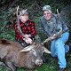 Red Stag
