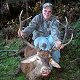 Red Stag
