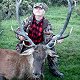 Red Stag
