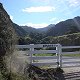 The gate at Remuera
