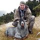 South Pacific Goat
