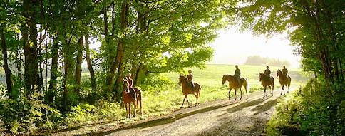 Peel Forest Lodge offers horseback riding excursions in addition to their guided hunting trips.