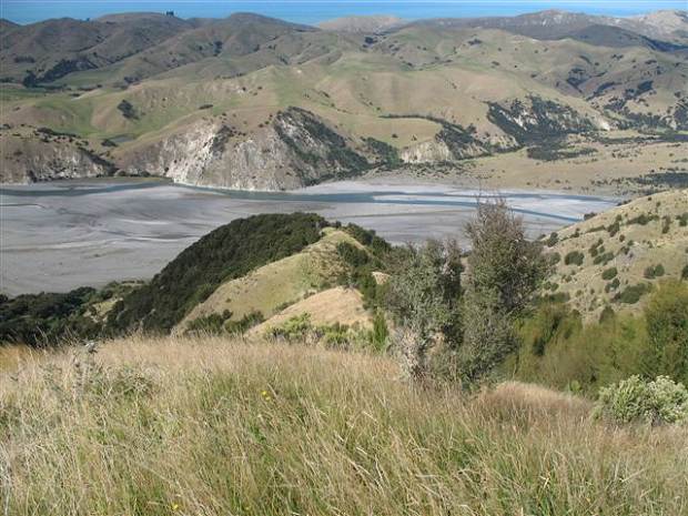 View of the valley from the Cabbage Tree Hut, Waiau-Toa Station, South Island of New Zealand.
