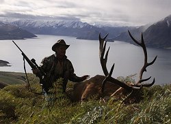 Glen Dene Station: Free Range Red Stag - New Zealand hunting packages by Sunspots Safaris