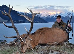 Glen Dene Station: Gold Medal Red Stag - New Zealand hunting packages by Sunspots Safaris