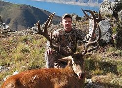 Pure NZ Hunting - Silver Medal Red Stag.  Click for full details regarding this package.