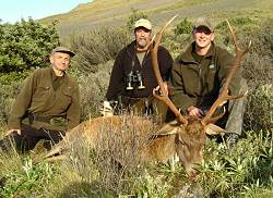 Alpine Red Trophy Hunt: Red Stag and Hind Combo - New Zealand hunting packages by Sunspots Safaris