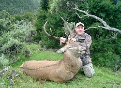 Chris Jolly Wairarapa Hunt: North Island Red Stag - New Zealand hunting packages by Sunspots Safaris