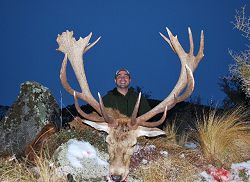 High Peak Game Estate: Gold Medal Red Stag - New Zealand hunting packages by Sunspots Safaris