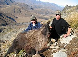 Kiwi Classic Hunt - Free Range Red Stag and Himalayan Bull Tahr.  Click for full details regarding this package.