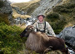 Lilydale Wilderness Area: Himalayan Bull Tahr and Nanny Tahr Combo - New Zealand hunting packages by Sunspots Safaris