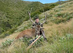 Lilydale Wilderness Area - Himalayan Bull Tahr and Free Range Red Stag Combo.  Click for full details regarding this package.