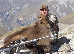 NZ Backcountry Guides - Himalayan Bull Tahr or Red Stag.  Click for full details regarding this package.