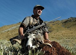 New Zealand Safaris: Big 5: Gold Medal Red Stag, Chamois, Fallow Buck, Bull Tahr, Arapawa Ram - New Zealand hunting packages by Sunspots Safaris