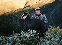Peel Forest Safaris: Himalayan Bull Tahr Or Chamois Hunt - New Zealand hunting packages by Sunspots Safaris