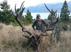 Peel Forest Safaris: Gold Medal Red Stag & Himalayan Bull Tahr Combo - New Zealand hunting packages by Sunspots Safaris