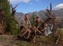 Peel Forest Safaris: Red Stag Hunt - New Zealand hunting packages by Sunspots Safaris