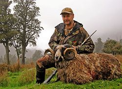 Wilderness Quest New Zealand: Mega Hunt - New Zealand hunting packages by Sunspots Safaris