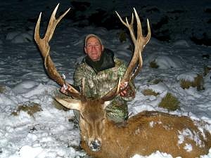 Sunspots Safaris New Zealand Hunting Blog - see our hunting packages for New Zealand game